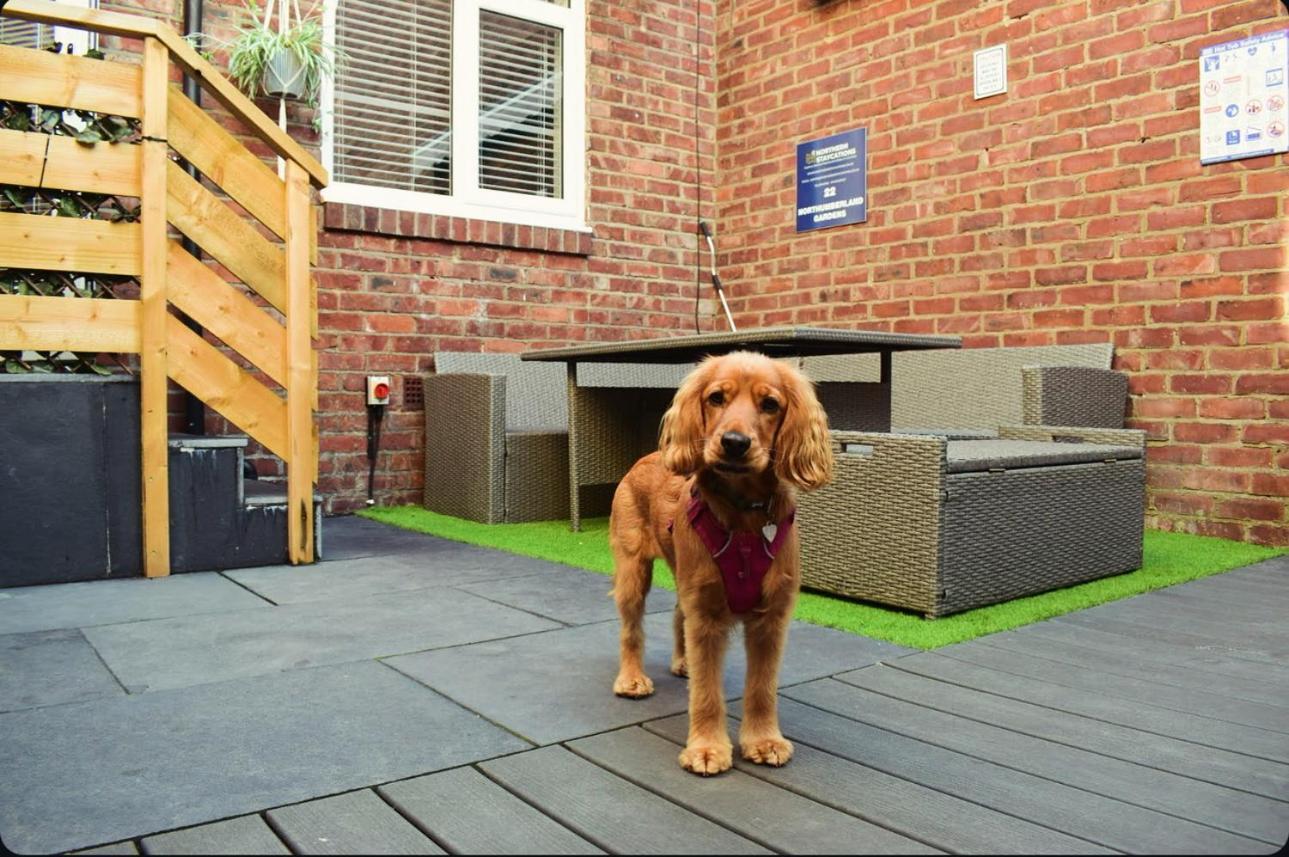 Hot Tub, Free Parking, Near Shops & Restaurants, Location 1m To Apartment